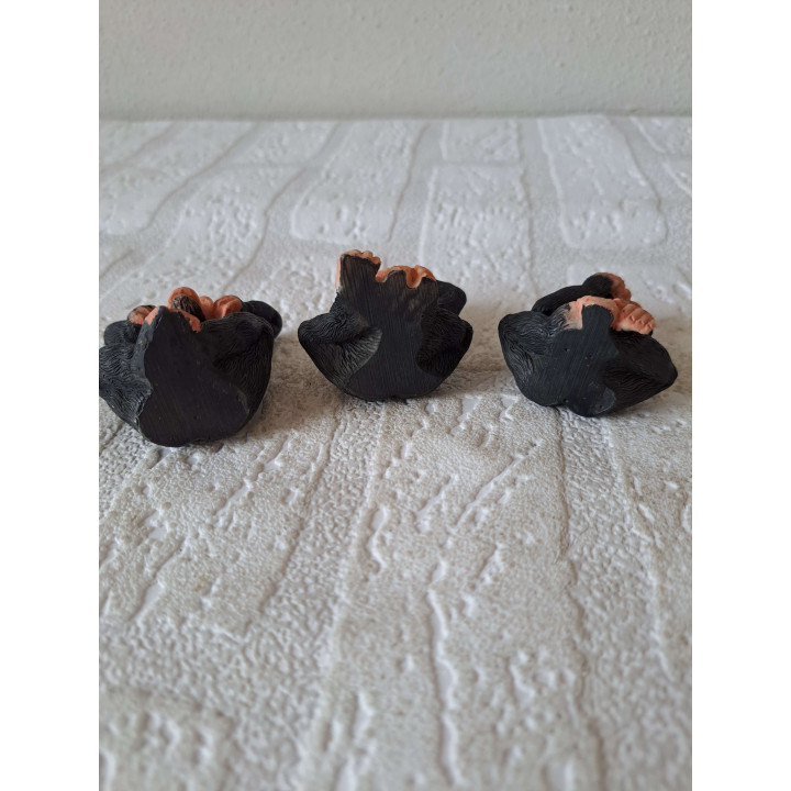 See No Evil Hear No Evil Speak No Evil Monkeys Leonardo | Speelgoed en Verzamel