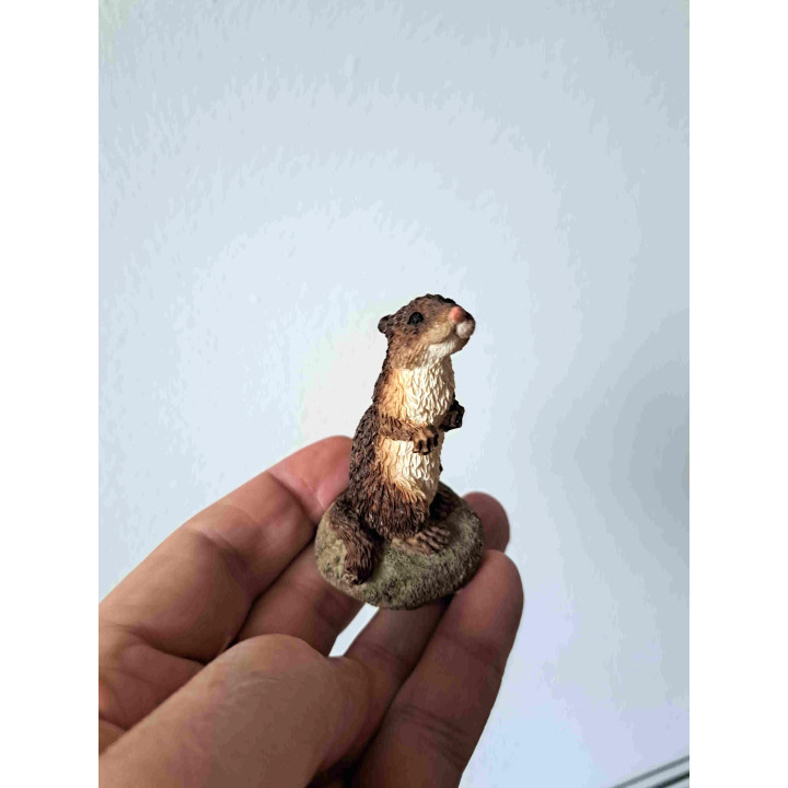 Otter Beeld Rechtopstaand Kunsthars 4x7,5cm
